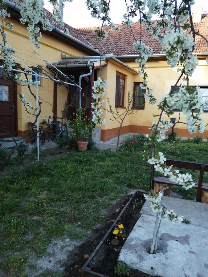 Harsfak Villa Mezokovacshaza Exterior photo