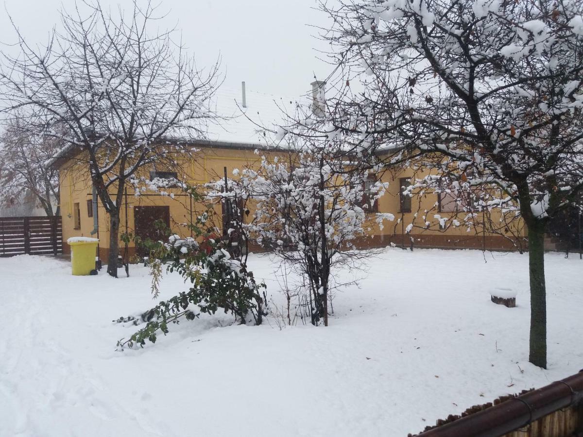 Harsfak Villa Mezokovacshaza Exterior photo