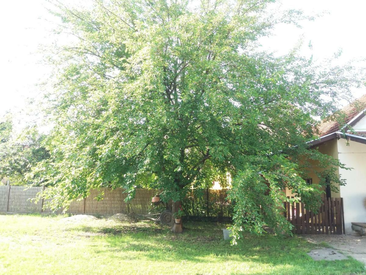 Harsfak Villa Mezokovacshaza Exterior photo